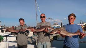 6 lb Starry Smooth-hound by Luke, Terry and Guest