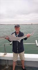 11 lb Smooth-hound by Eddie from Ramsgate