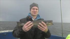 1 lb Coalfish (Coley/Saithe) by Unknown