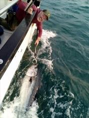 2 oz Bluefin Tuna by Unknown