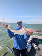6 lb Starry Smooth-hound by Mark