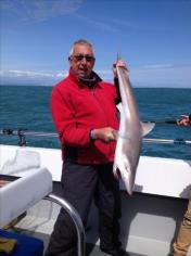 25 lb Tope by Moose