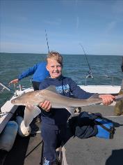8 lb Starry Smooth-hound by Alfie