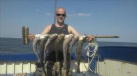 3 lb Cod by Lee Jones