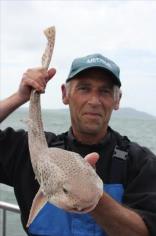 7 lb Bull Huss by Neil