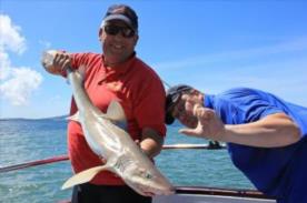 11 lb Starry Smooth-hound by Rob Field