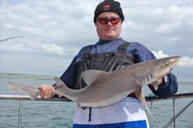 13 lb Starry Smooth-hound by Bob the Fly