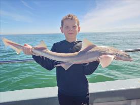 8 lb Smooth-hound (Common) by Jamie