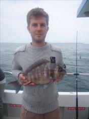 4 lb Black Sea Bream by Unknown