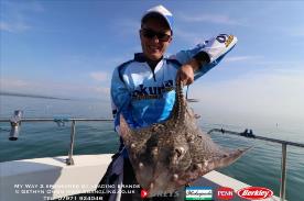 7 lb Thornback Ray by Mei