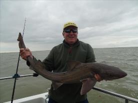 2 oz Smooth-hound by Unknown
