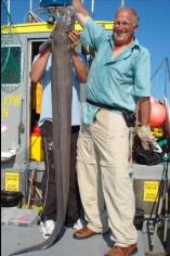 79 lb Conger Eel by Simom's other mate