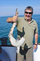 9 lb Bull Huss by Chilli Pete