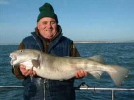 20 lb Cod by 'Ron the Fish'