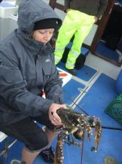 3 lb 8 oz Lobster by Unknown