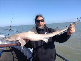12 lb Starry Smooth-hound by Pete pirate