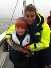 1 lb 7 oz Cod by Scott Belbin