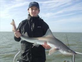 2 oz Starry Smooth-hound by Unknown