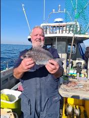 2 lb 8 oz Black Sea Bream by George G