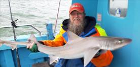10 lb Smooth-hound (Common) by Alan
