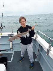 5 lb Starry Smooth-hound by Tyler