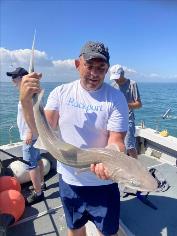 10 lb Starry Smooth-hound by Dell