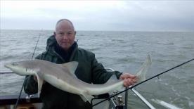 2 oz Smooth-hound by Unknown