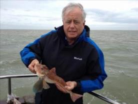 2 lb Tub Gurnard by Dave