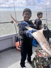 8 lb 2 oz Starry Smooth-hound by Unknown