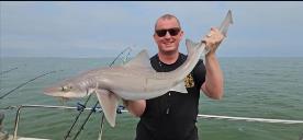 12 lb Starry Smooth-hound by Steve