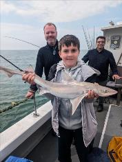 6 lb Starry Smooth-hound by Tristan