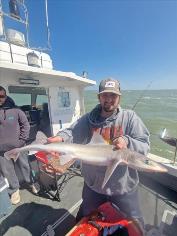 5 lb Smooth-hound by Stu