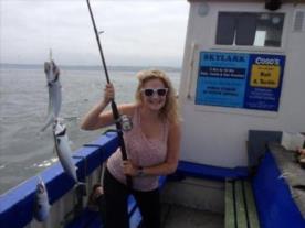 10 oz Mackerel by Donna Campbell