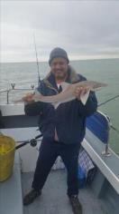 8 lb 2 oz Starry Smooth-hound by Unknown