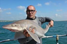 14 lb Starry Smooth-hound by Pete