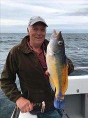 1 lb 12 oz Cuckoo Wrasse by Clive Fawkes