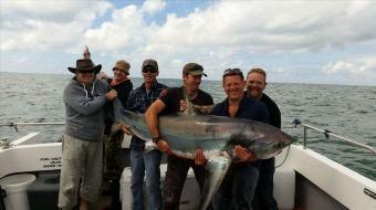 368 lb Thresher Shark by Nick lane