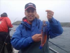 14 oz Cuckoo Wrasse by RAF v Police comp practice day