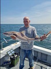 10 lb 5 oz Smooth-hound by Darryl