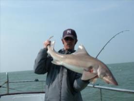 20 lb Smooth-hound (Common) by Carl Burns
