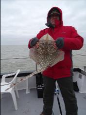 2 oz Thornback Ray by Unknown