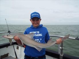 2 oz Smooth-hound by Unknown