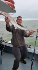3 Kg Smooth-hound by Unknown