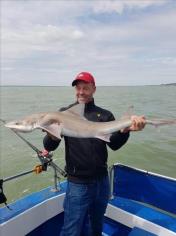 14 lb 1 oz Smooth-hound by Mason