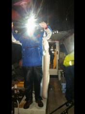 12 lb Conger Eel by Nev the Bobby dazzler