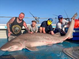 548 lb Six Gill Shark by Lee