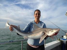 2 oz Smooth-hound by Unknown