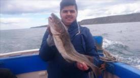 4 lb 2 oz Cod by Unknown