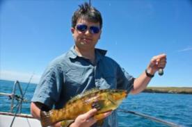 2 lb Ballan Wrasse by Martin