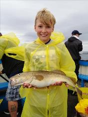 4 lb 7 oz Cod by Unknown